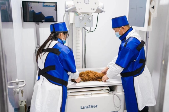 32 kW Veterinärmedizinische Ausrüstung Echtzeitfluoroskopie-Maschine DR