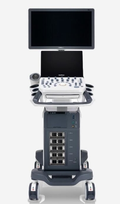 Good price Doppler-Ultraschall-System P20 Digital Farberrichtet in der Batterie Online