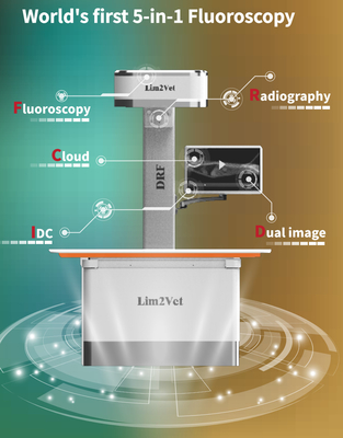 Good price 32 kW Veterinärmedizinische Ausrüstung Echtzeitfluoroskopie-Maschine DR Online