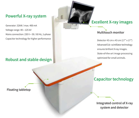 32 kW Veterinärmedizinische Ausrüstung Echtzeitfluoroskopie-Maschine DR